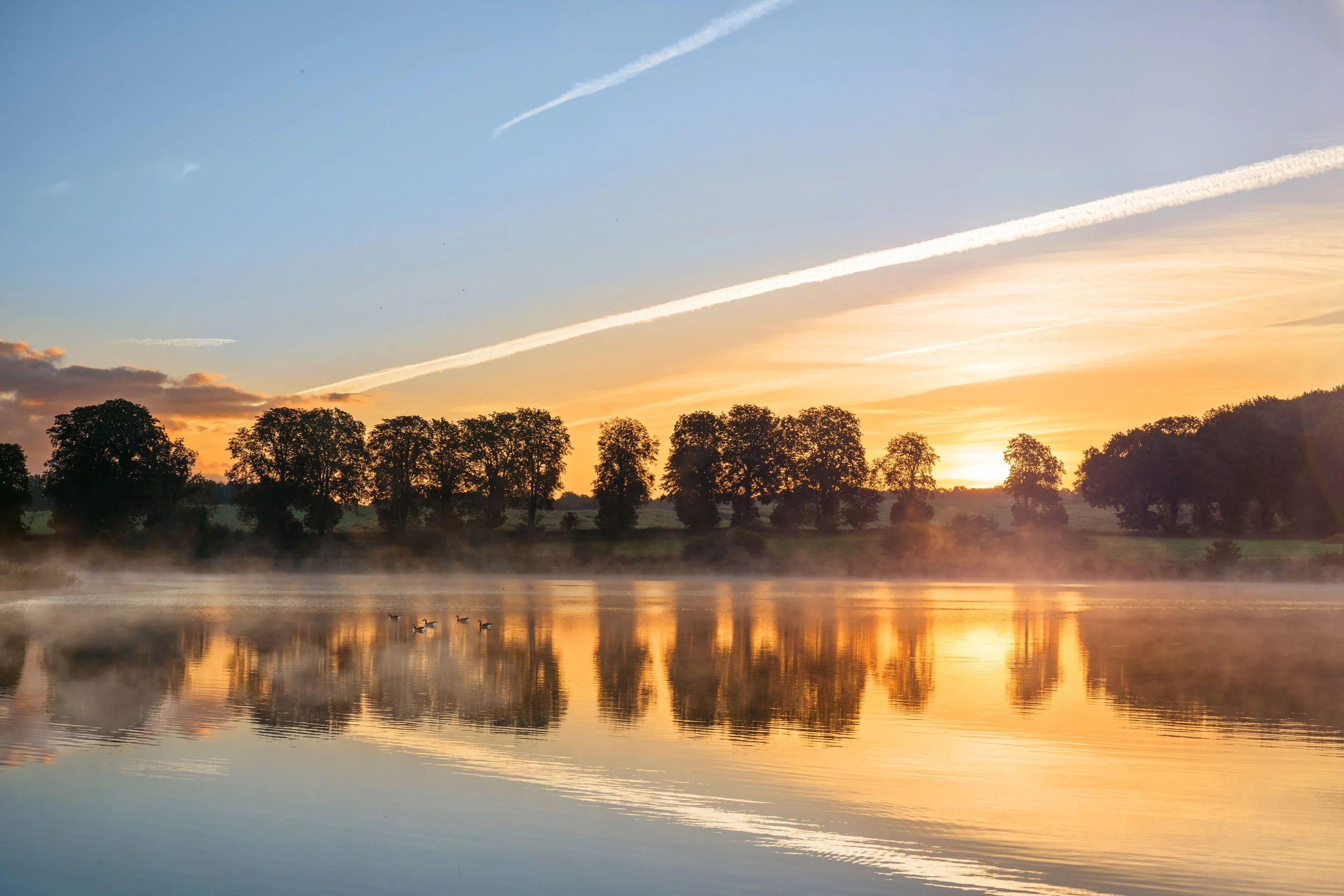 Sunrise over the misty pond