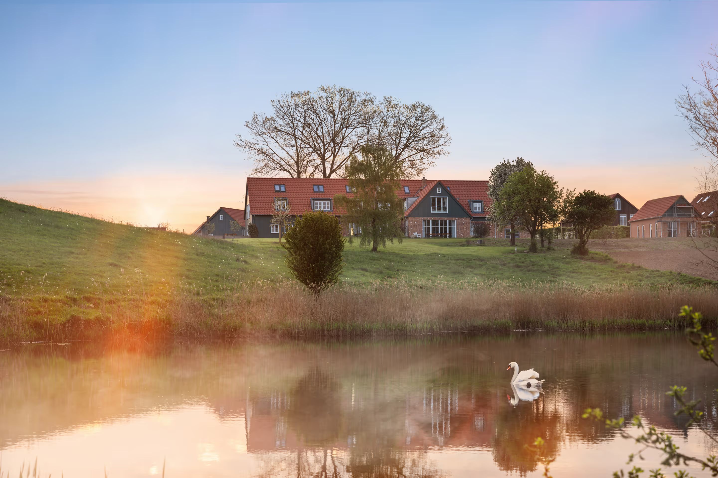 Mill courtyard by the pond in morning light with a swan