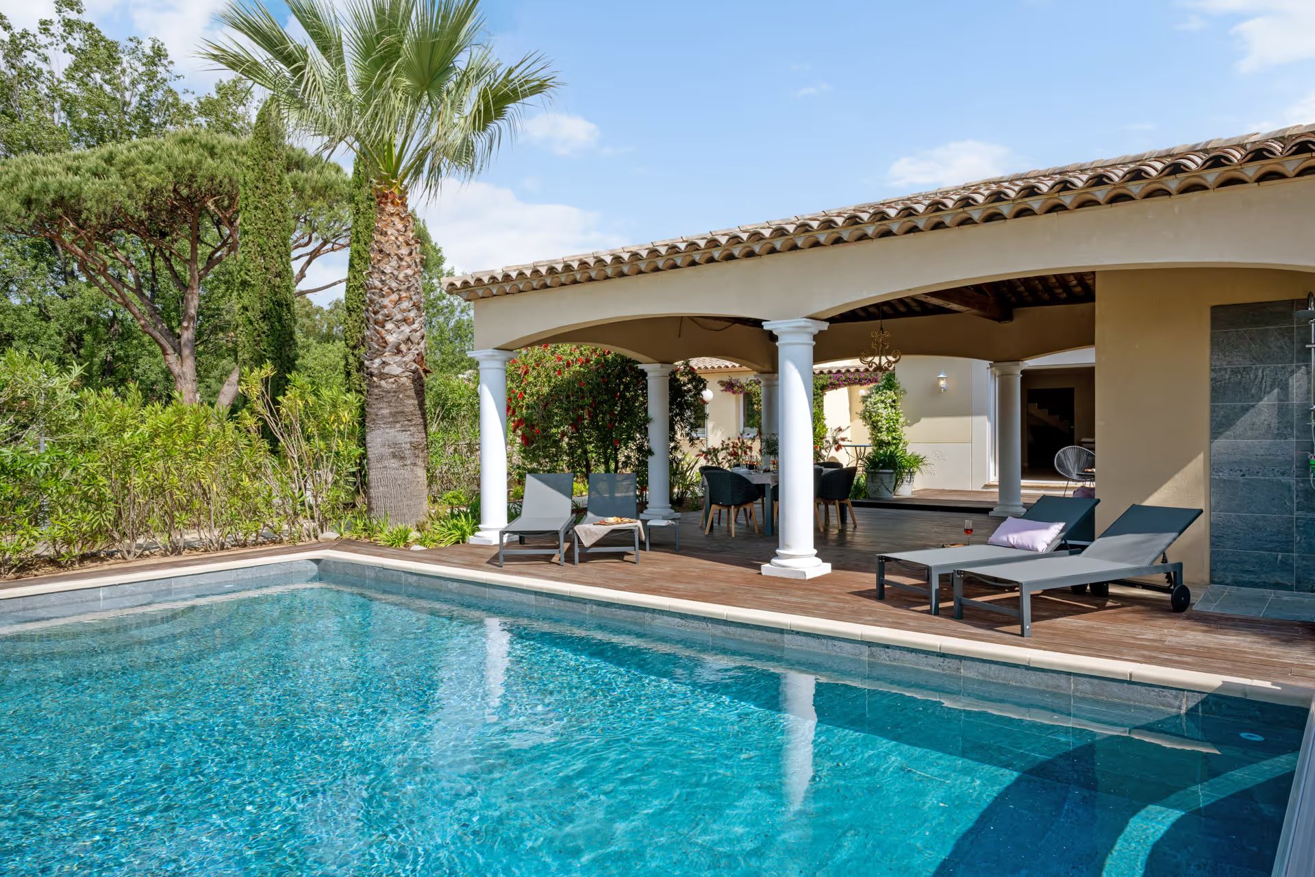Pool with a covered terrace and palm tree