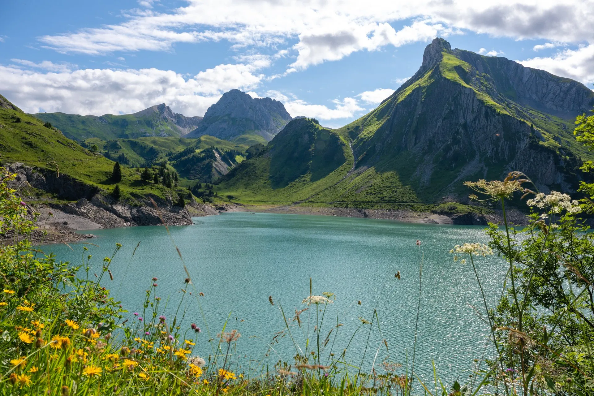 Türkisfarbener Bergsee zwischen grünen Gipfeln, im Vordergrund blühende Wiesenblumen